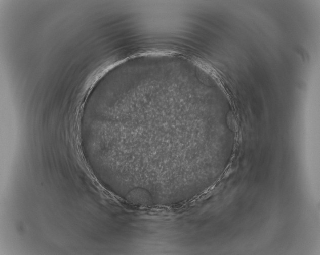 X0000113120337200909181653