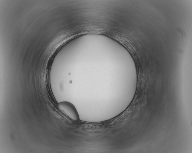 X0000113120338200909181653