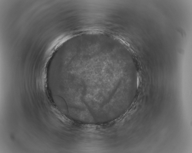 X0000113120339200909181653