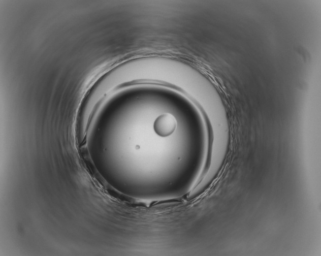 X0000113120340200909181653