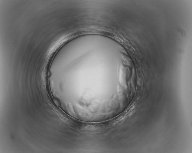 X0000113120341200909181653