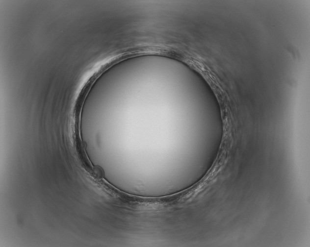 X0000113120342200909181653