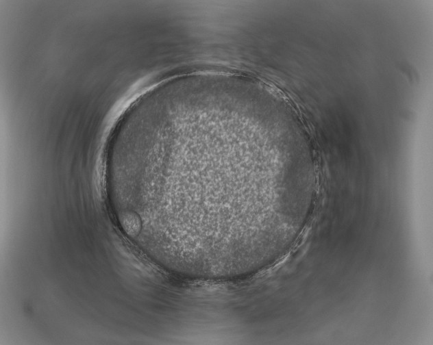 X0000113120343200909181653