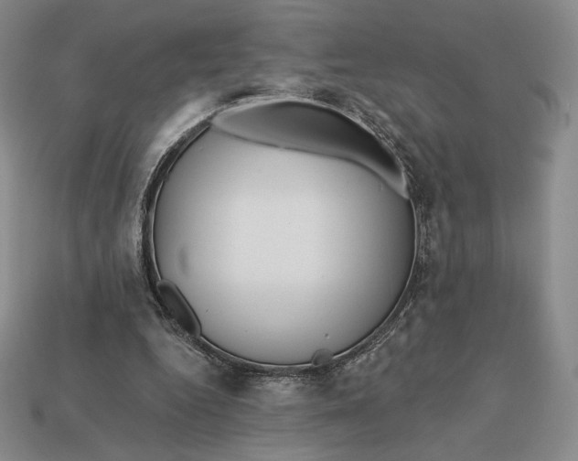 X0000113120344200909181653