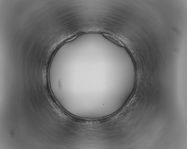 X0000113120345200909181653