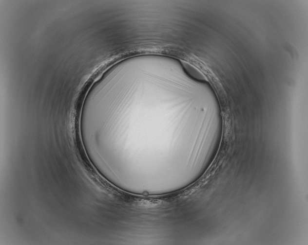 X0000113120346200909181653