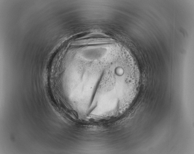 X0000113120347200909181653