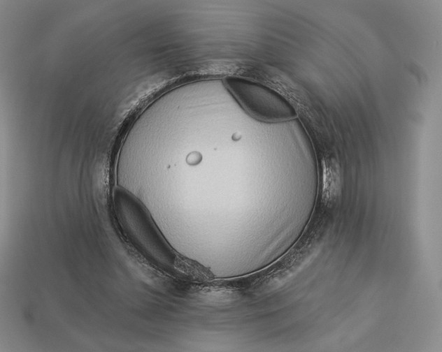 X0000113120348200909181653