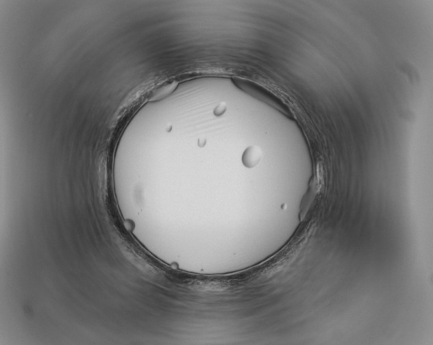 X0000113120349200909181653