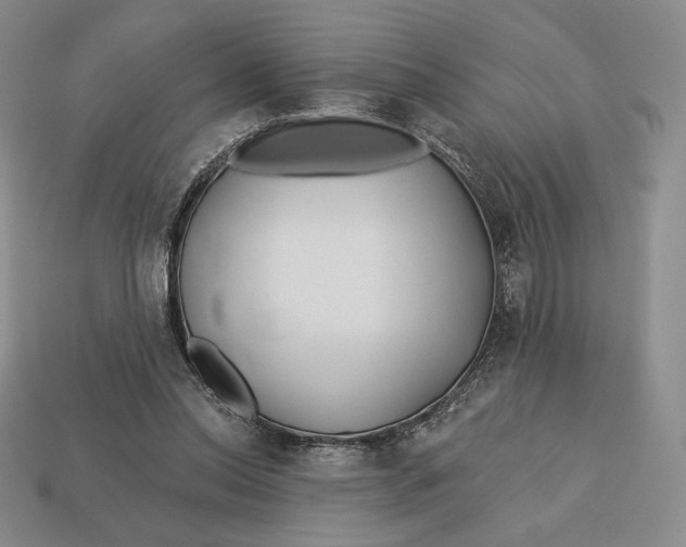 X0000113120350200909181653