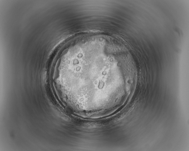 X0000113120351200909181653