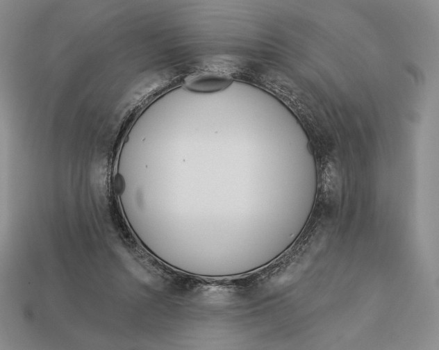 X0000113120352200909181653