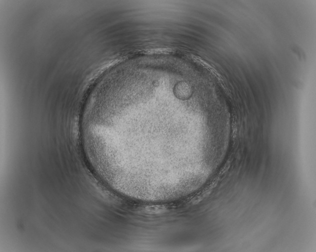 X0000113120353200909181653