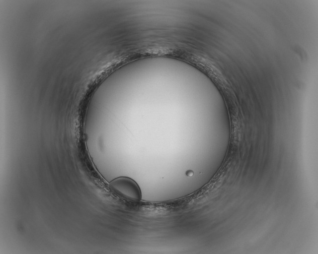 X0000113120354200909181653
