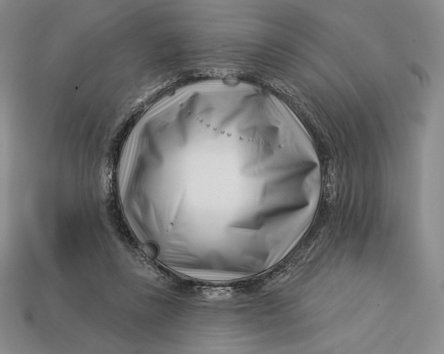 X0000113120355200909181653