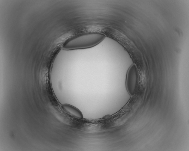 X0000113120356200909181653