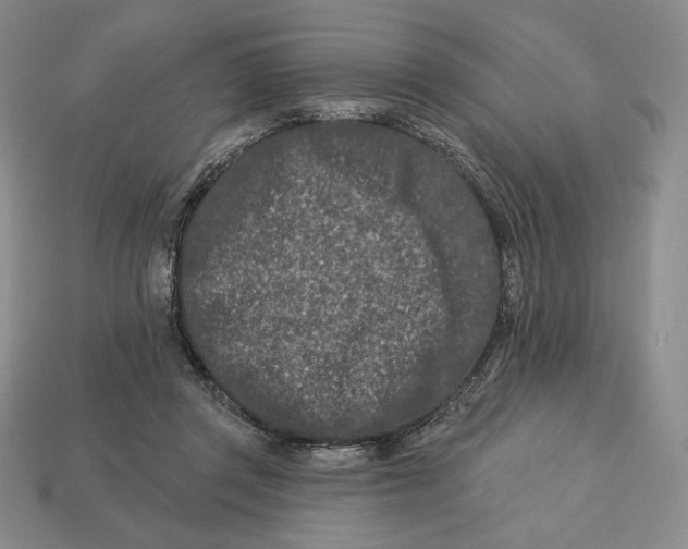 X0000113120357200909181653