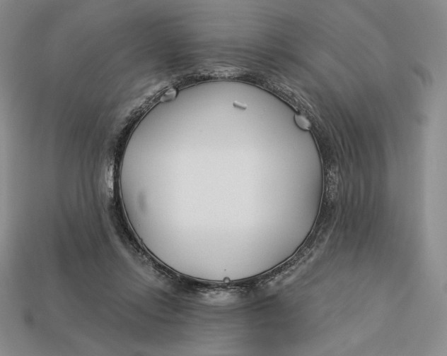 X0000113120358200909181653