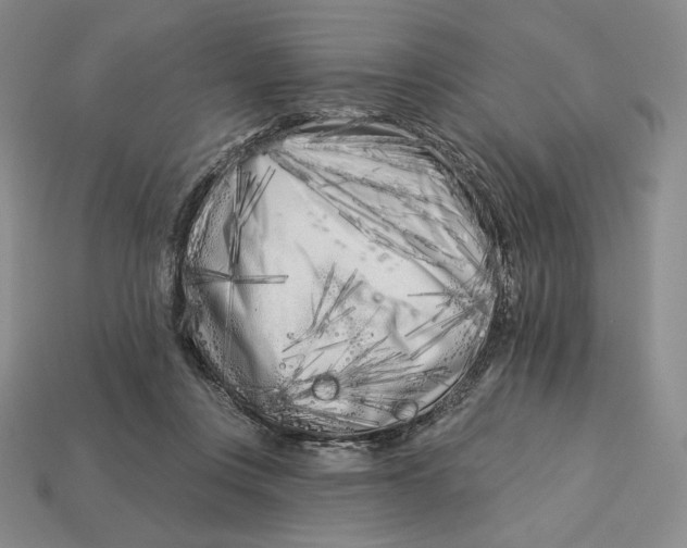 X0000113120359200909181653