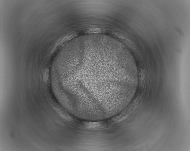 X0000113120361200909181653