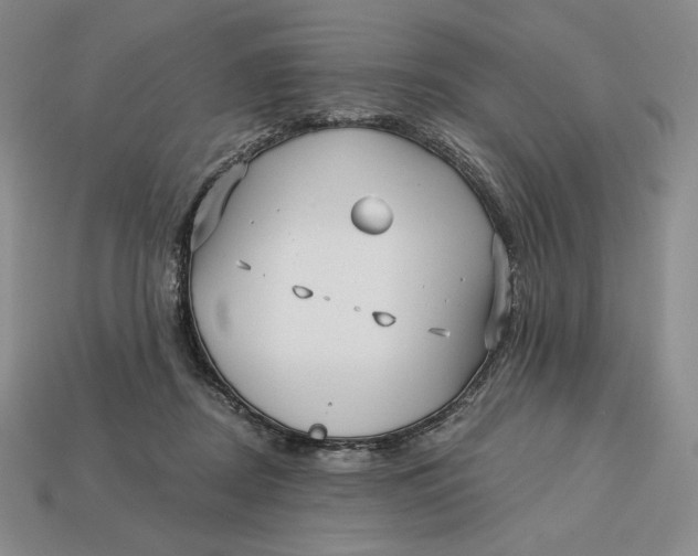 X0000113120362200909181653