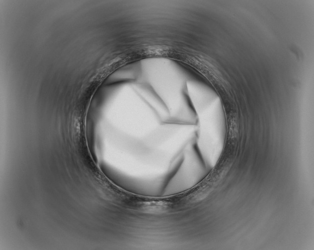 X0000113120363200909181653