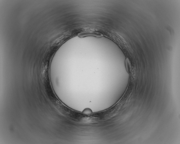 X0000113120364200909181653