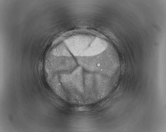 X0000113120365200909181653