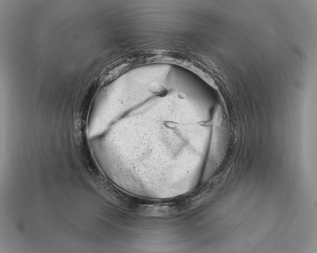 X0000113120366200909181653