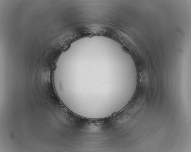 X0000113120368200909181653