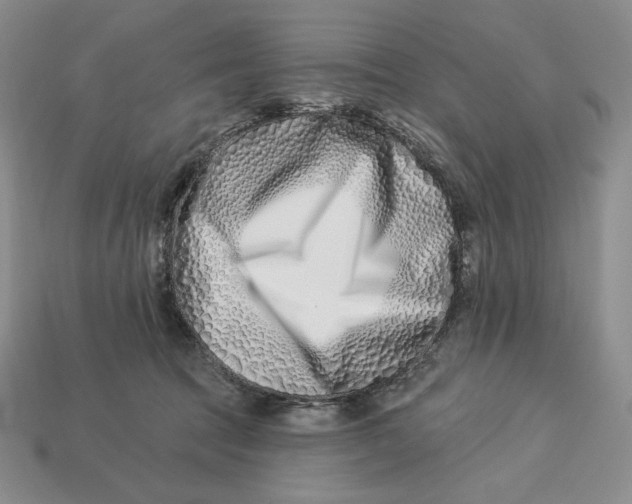 X0000113120369200909181653