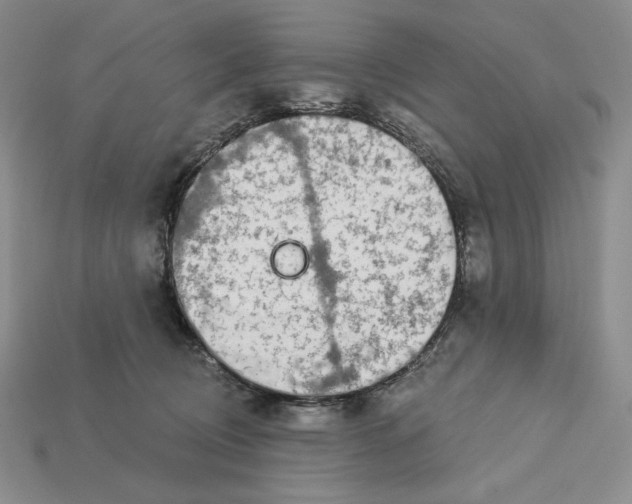 X0000113120370200909181653