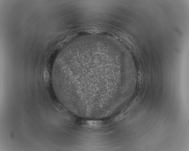 X0000113120371200909181653