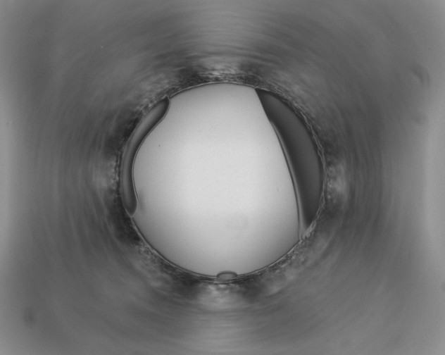 X0000113120372200909181653