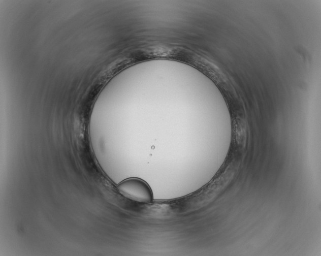 X0000113120374200909181653