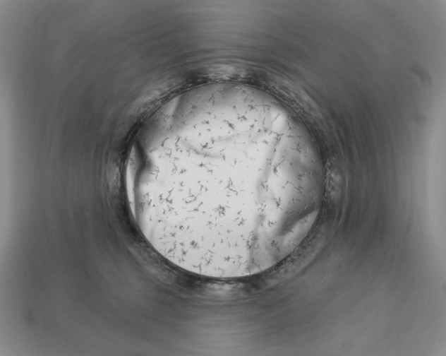 X0000113120375200909181653