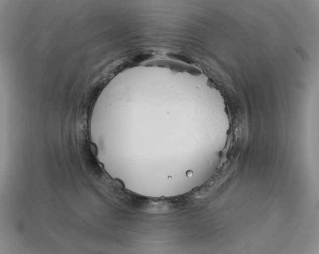 X0000113120376200909181653