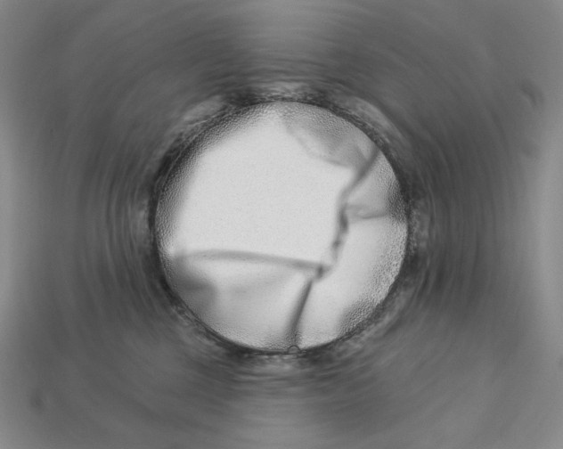 X0000113120377200909181653