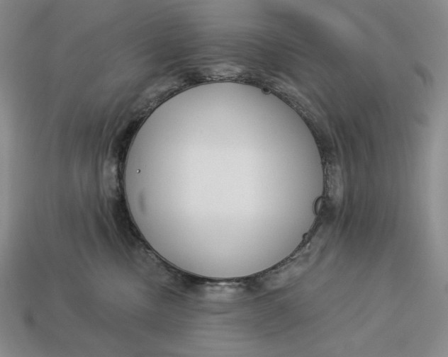 X0000113120378200909181653