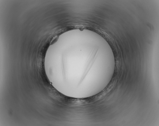 X0000113120379200909181653