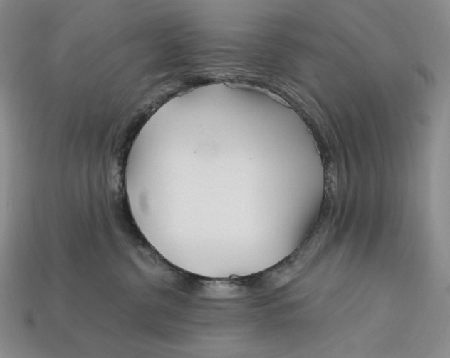 X0000113120380200909181653