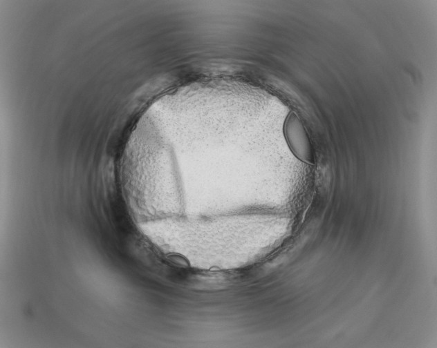 X0000113120381200909181653