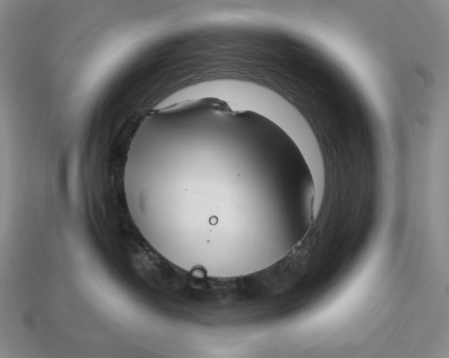 X0000113120382200909181653