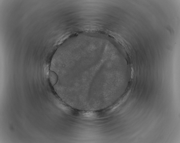 X0000113120383200909181653