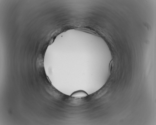 X0000113120384200909181653