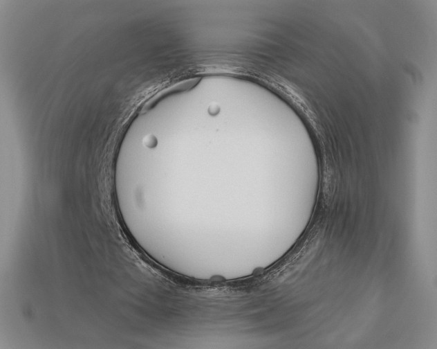 X0000113120385200909181653