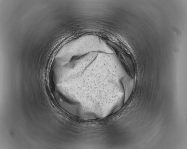 X0000113120386200909181653