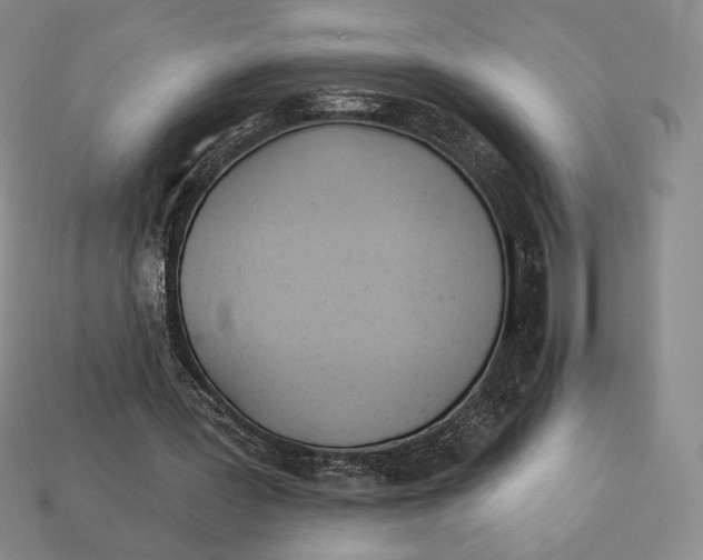 X0000113120387200909181653