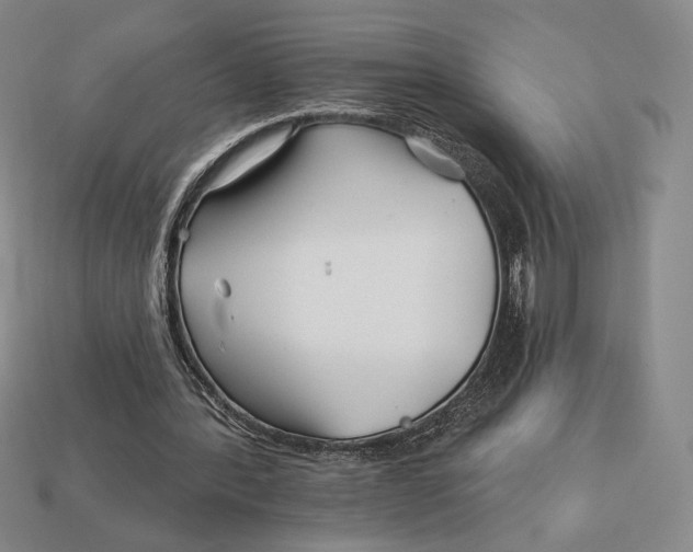 X0000113120388200909181653