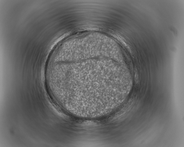 X0000113120390200909181653